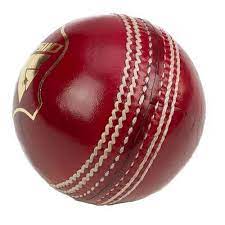 SG Test Cricket Leather Ball, Red, Pack of 2