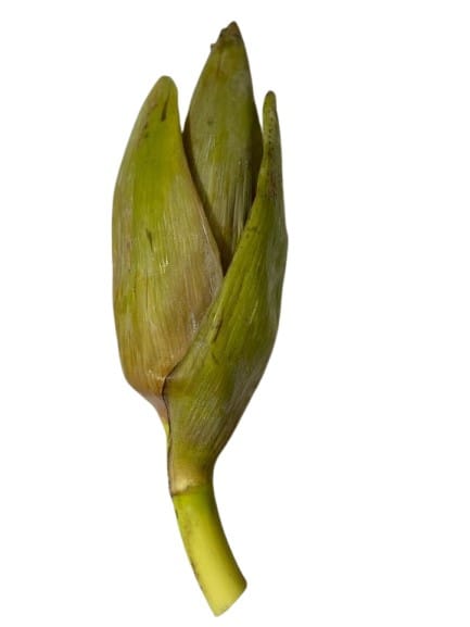 Buy Banana Flower - Fresh and Organic Vegetable Online