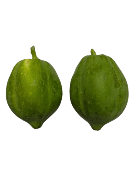 Fresh Green Papaya