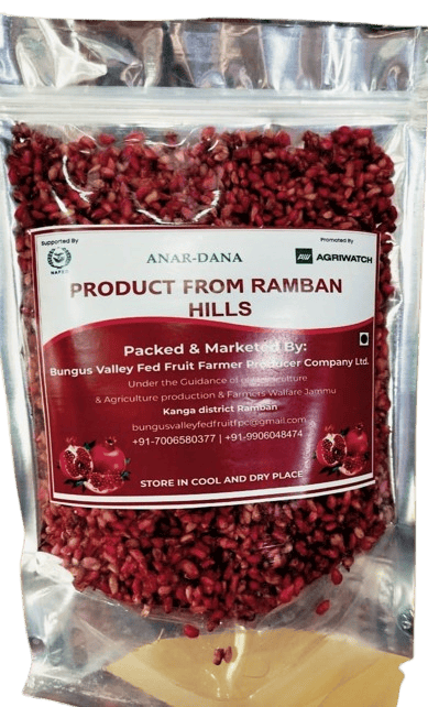 Anardana