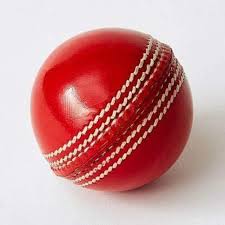 Cricket Ball with Acrylic Case online at the best price