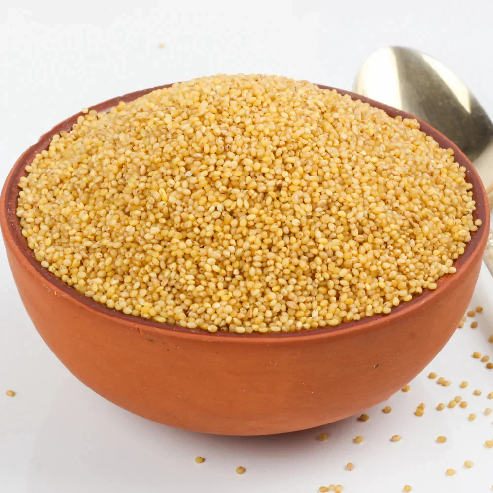 Foxtail Millet