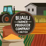 Bijauli Farmer Producer Company Limited