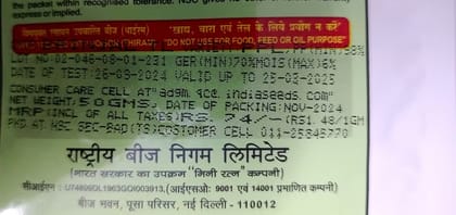 NSC Brinjal Variety Pusa Purple Long, (50gm)