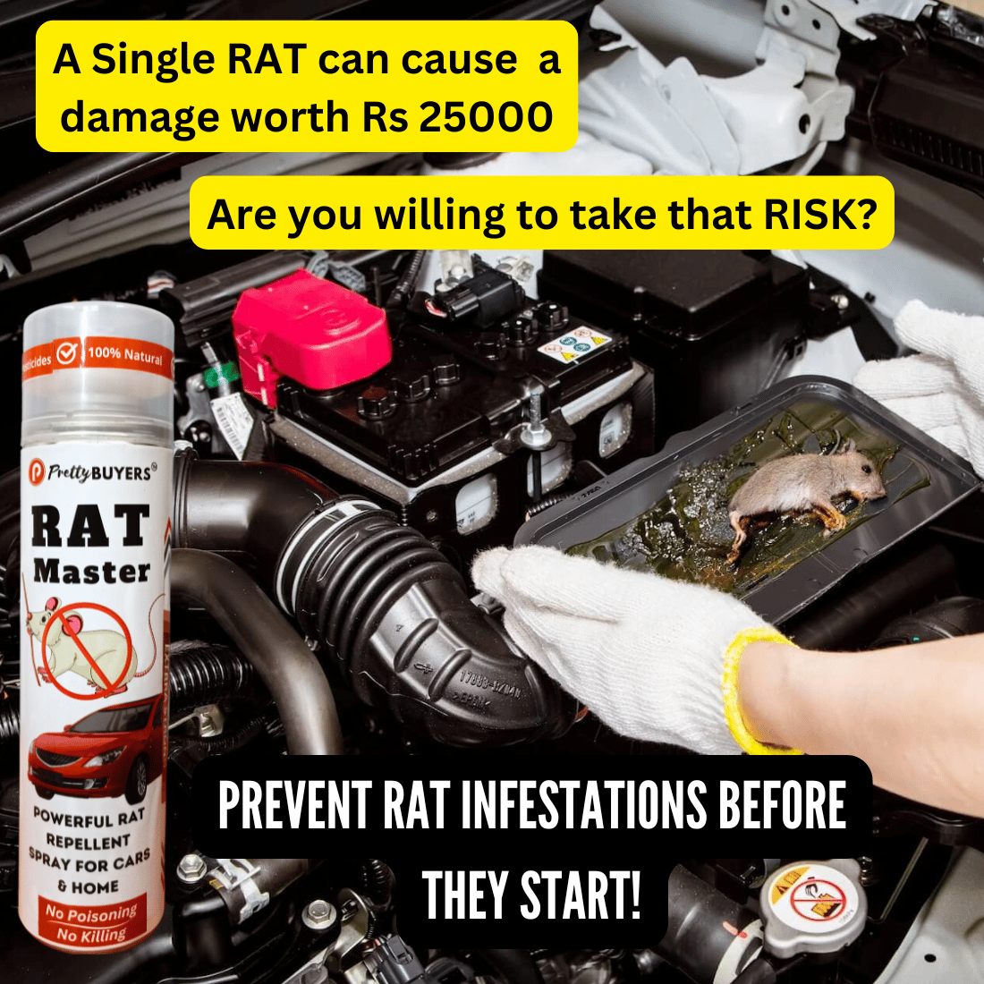 PrettyBUYERS Rat Master Powerful Rat Repellent Spray For Cars & Home | Powerful rat protection spray | Rodent spray 250MLx1