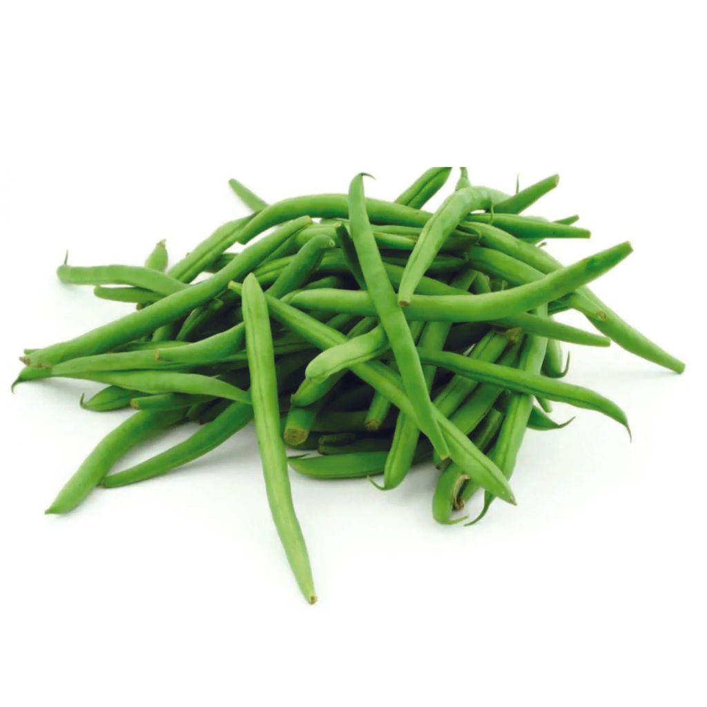 Beans Haricot