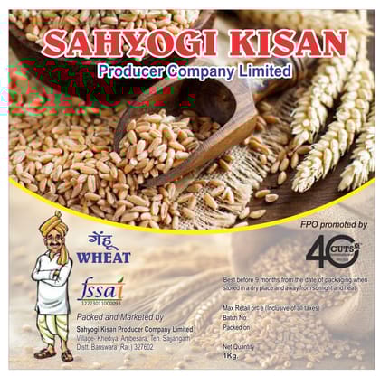 Wheat Loose | Gehun | 1 kg