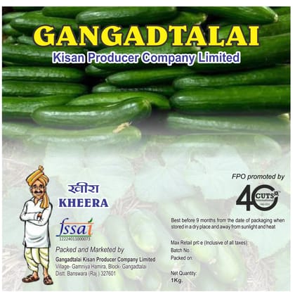 Fresh Cucumber | Kheera | 1 kg
