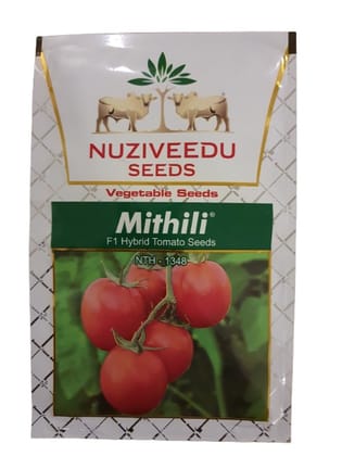 Nuziveedu Seeds Mithili F1 Hybrid Tomato Seeds (NTH-1348) - 10 Grams
