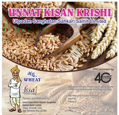 Wheat Loose | Gehun | 1 kg