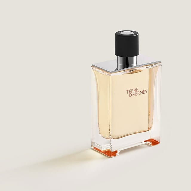 Hermès Terre d'Hermès Eau de Toilette Spray 100ml