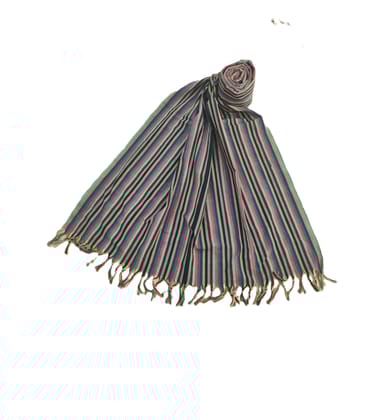 Dhaga Vishwas Ka Handloom Cotton Stole