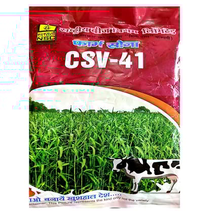 NSC Fodder Sorghum CSV-41 variety, 1 Kilogram Truthful Labelled Seed