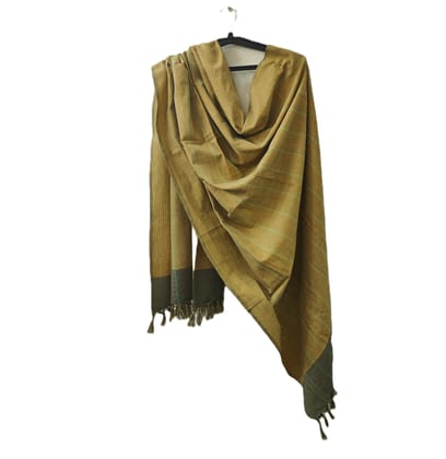 Handloom Cotton Stole