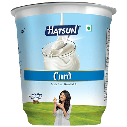 Hatsun Curd, 400 G Cup