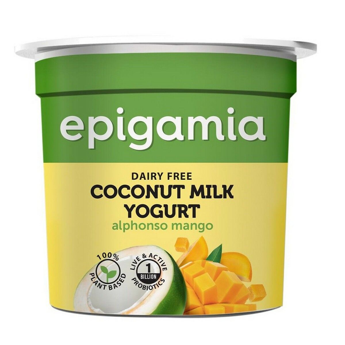 Epigamia Coconut Milk Yoghurt Alphonso Mango 90G