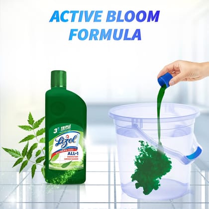 Lizol Disinfectant Surface & Floor Cleaner Liquid, Neem, 500Ml