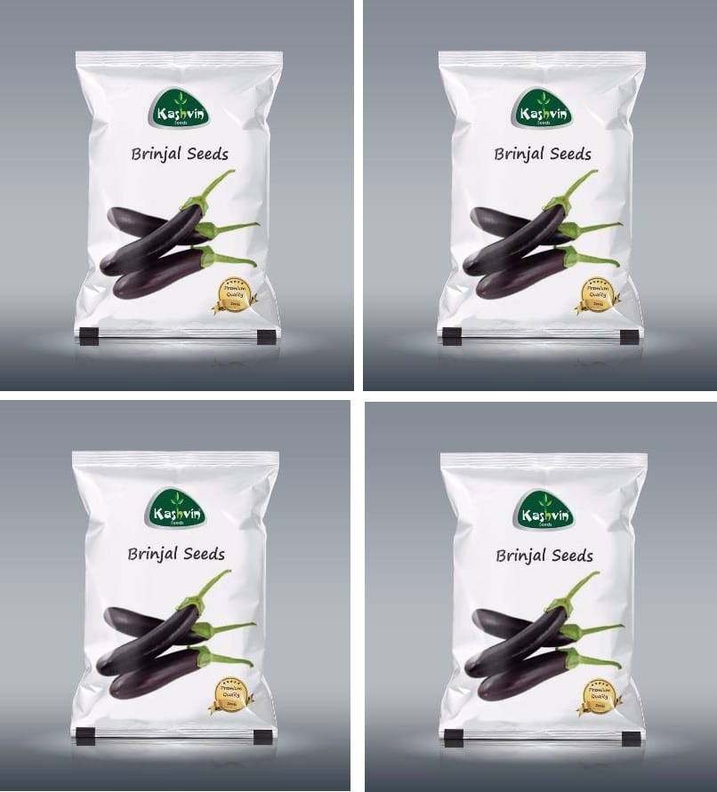 Buy Kashvin Brinjal (Long) Seeds - Premium Quality Brinjal Seeds for Planting - 4 Packs