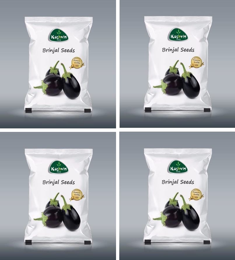 Brinjal Round Seeds | 4 Packet