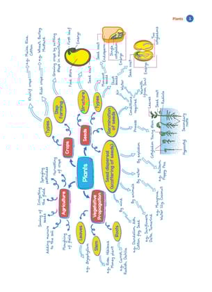 Oswaal One For All Olympiad Workbook Class 5 (Set of 3 Books) Maths, Science & English For 2024-25 Exam [Product Bundle] Oswaal Editorial Board