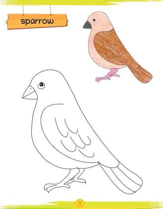 Oswaal Lil Legends Books of Copy Colouring (Set of 10 Books), For Kids, To Learn About Vegetables, Transport, Shapes, Numbers, Fruits, Flowers, Clothes, Birds, Animals & Alphabets; Age 3+ Oswaal Editorial Board