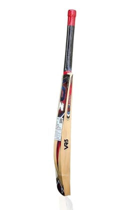 VR3 English Willow Cricket Bat