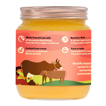 DAICHI - Desi Cow Ghee | Pure, Natural, and Healthy | Made from Indigenous  A2 Cow Milk Cream  | Crafted using the Bilona Method | Farm to Table