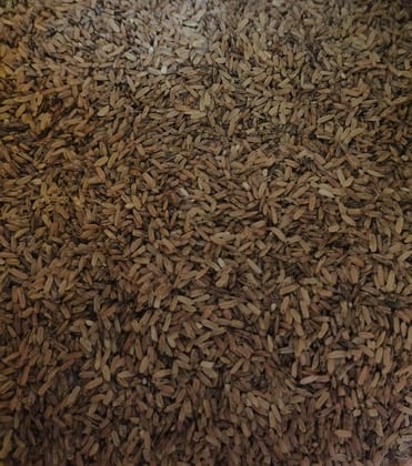 Organic Black Rice Manipur Chak Hao Parboiled