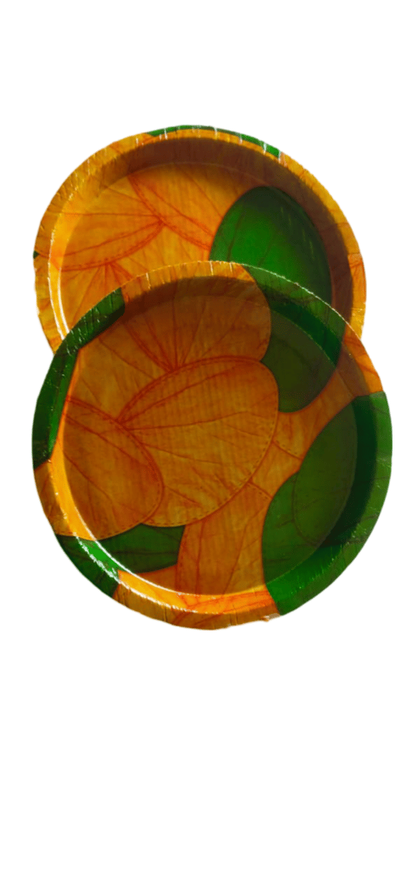 *25 Piece Disposable Areca Leaf  PAPER Plates | Eco-Friendly and Biodegradable | 100% Natural | 8 Inches*