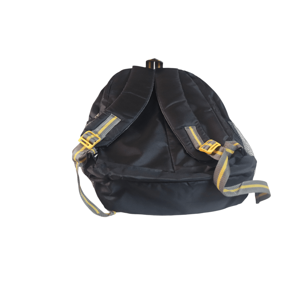 Skybags Airbourne Black Polyester 25 Ltrs Casual Backpack