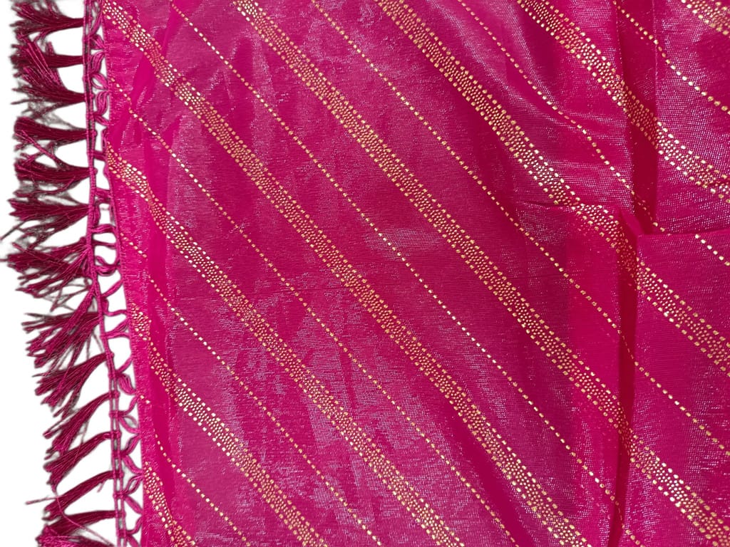 Embroidered Butterfly Chiffon Saree with Sequin Work