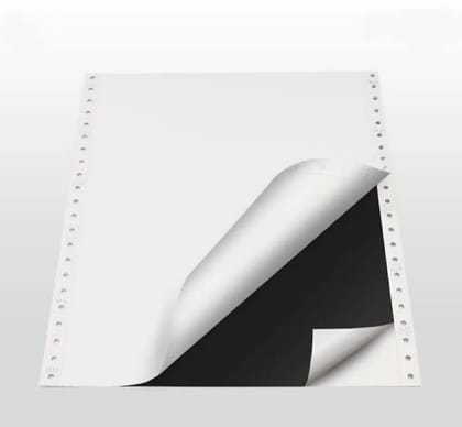 Dot Matrix Computer Printer Paper 10" x 12", 2-Part With Carbon - 500 Continuous Sets