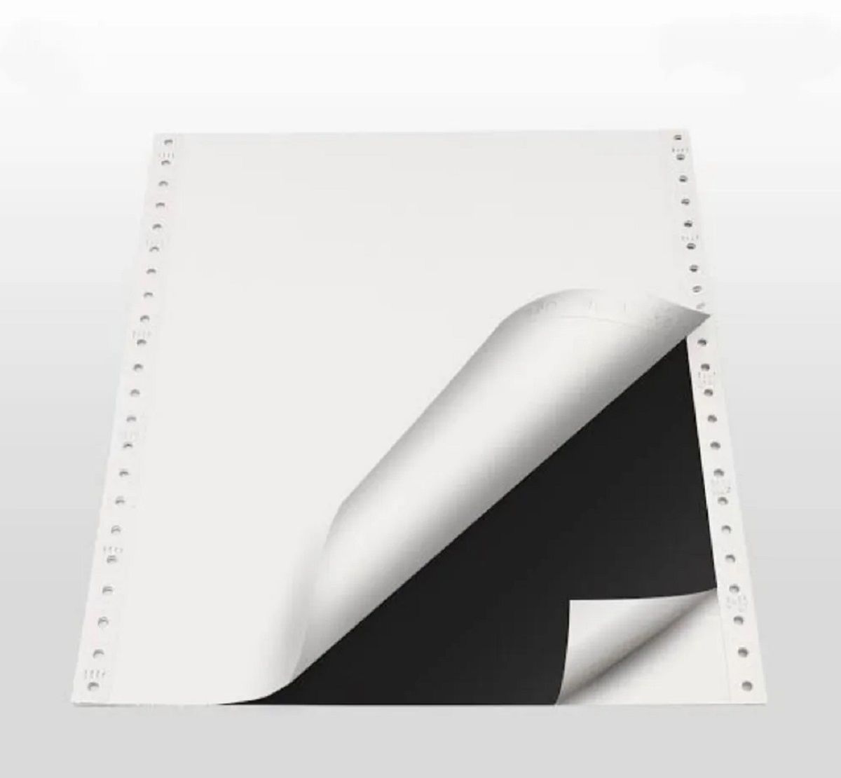 Dot Matrix Computer Printer Paper 10" x 12", 2-Part With Carbon - 500 Continuous Sets