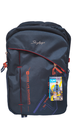 Skybags Unisex Black and Blue 19 Ltrs Laptop Backpack (HIKING, Black)