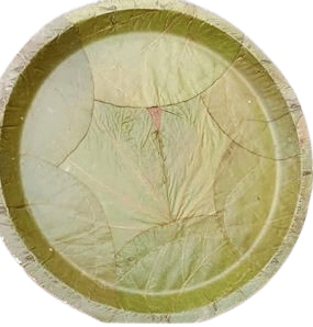 Areca Leaf Plates | Disposable Plates | Eco-Friendly Plates | Biodegradable Plates | Plastic-Free Plates | Chemical-Free Plates