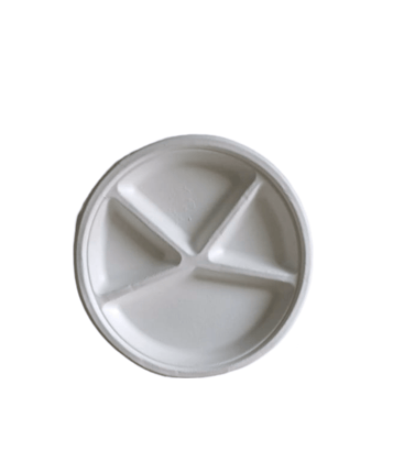 5-Compartment Disposable Plates pack of 10