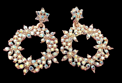Lovely Rhinestone Circle Drop Earrings
