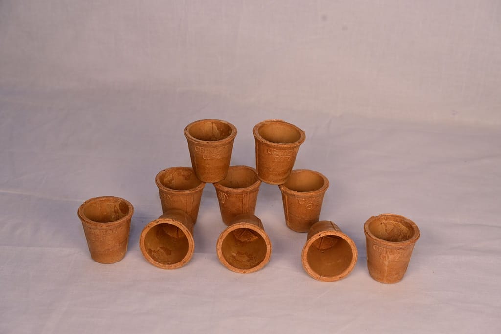 Pack of 10 Crunchy Tea Cups