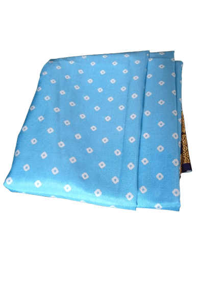 Blue and Black Silk Saree with Golden Border