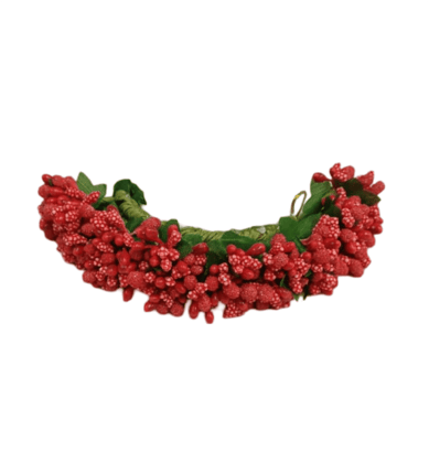 Red Berry Hair Comb set