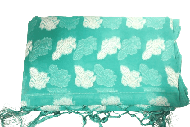 Seafoam green chiffon saree with silver zari peacock motifs