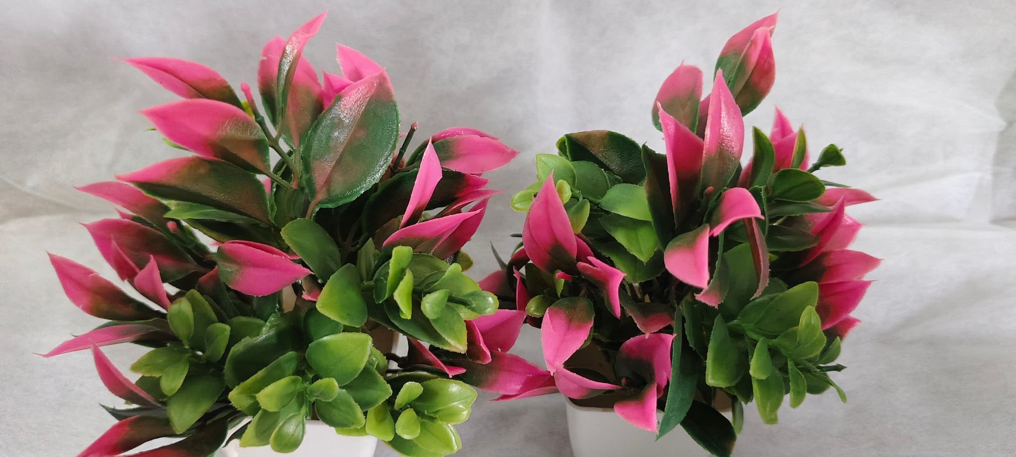 Artificial Small Plants for Home Decor, Set of 2