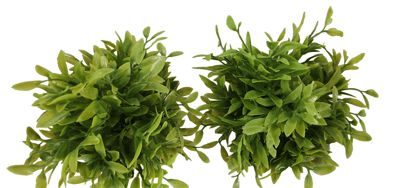 Artificial Potted Grass Plant for Home Decor (2 Pieces)