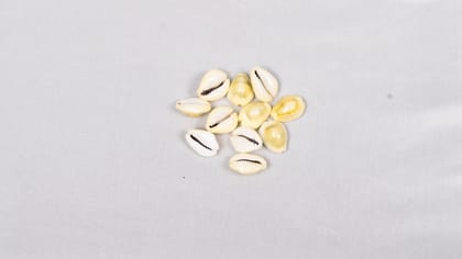 "100% Natural White Cowrie Shells for Crafts, Jewelry Making, and Home Decor"