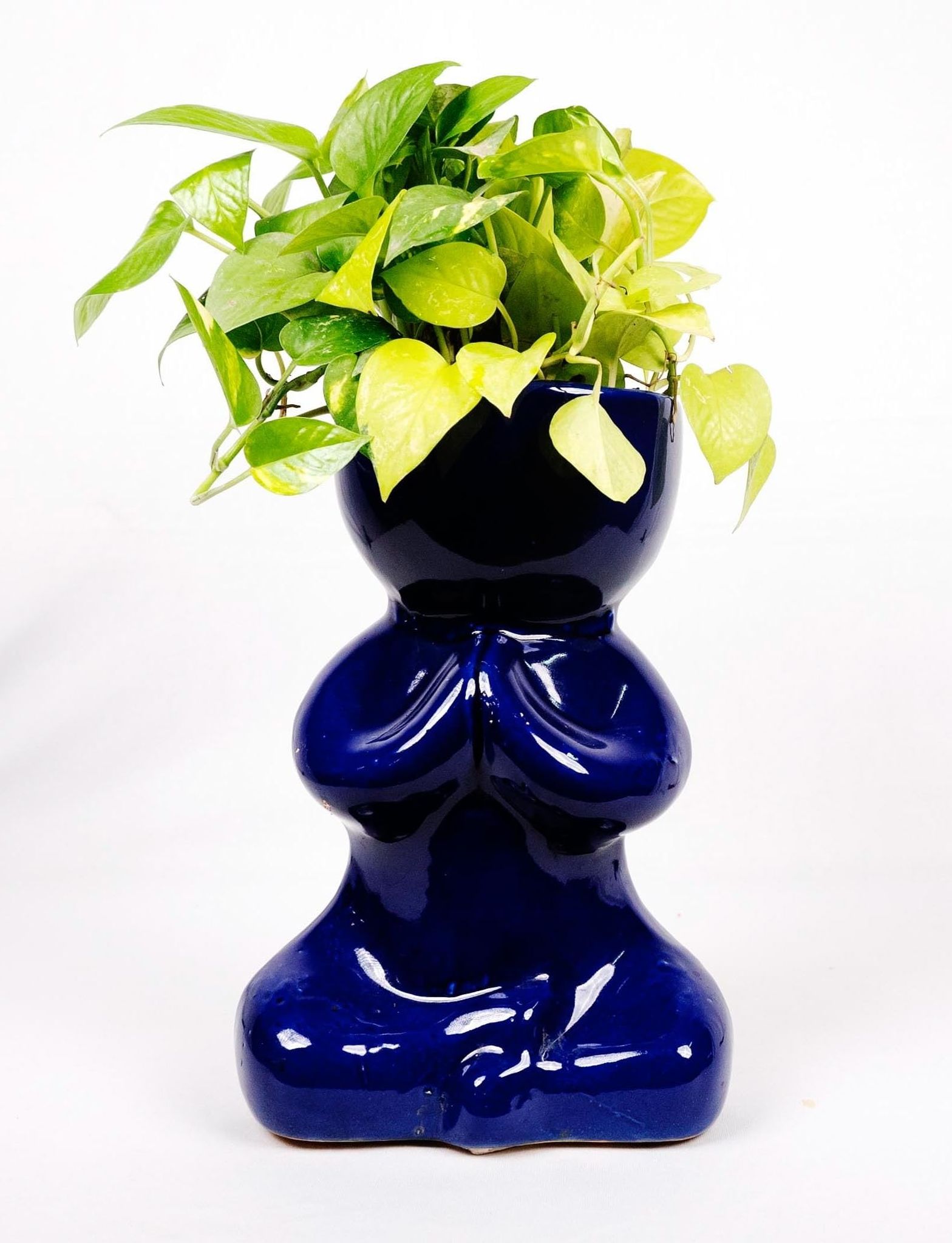 stunning look  decarative pot