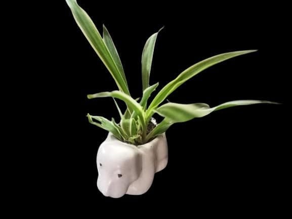 SONCHIRAIYA Plant POT07 (Ceramic Puppy Pot) - Pooja Needs | Buy online on ZillyBuy