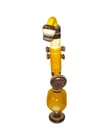 ... ...