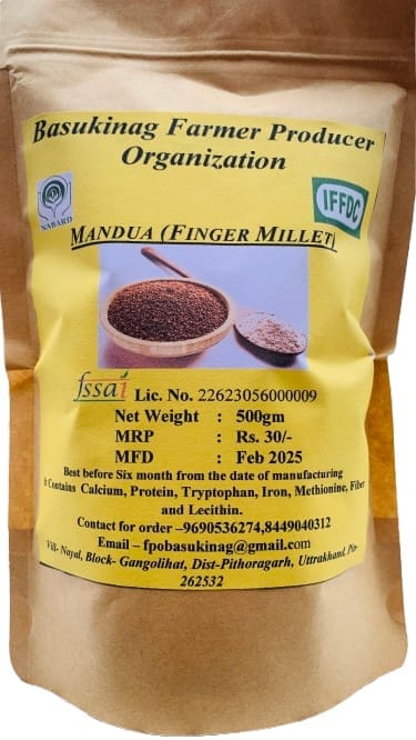 Buy Organic Mandua (Finger Millet) Online at Best Price in India - Basukinag Farmer Producer Organization
