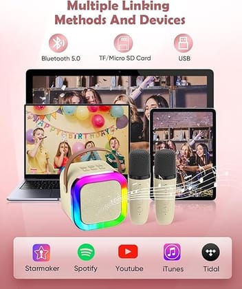 Storio Rechargeable Wireless Mini Portable Bluetooth Karaoke Machine