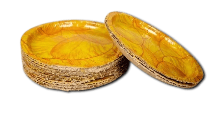 100% Natural Areca Leaf Plates | Disposable and Eco-Friendly | 8 Inches | Pack of 100